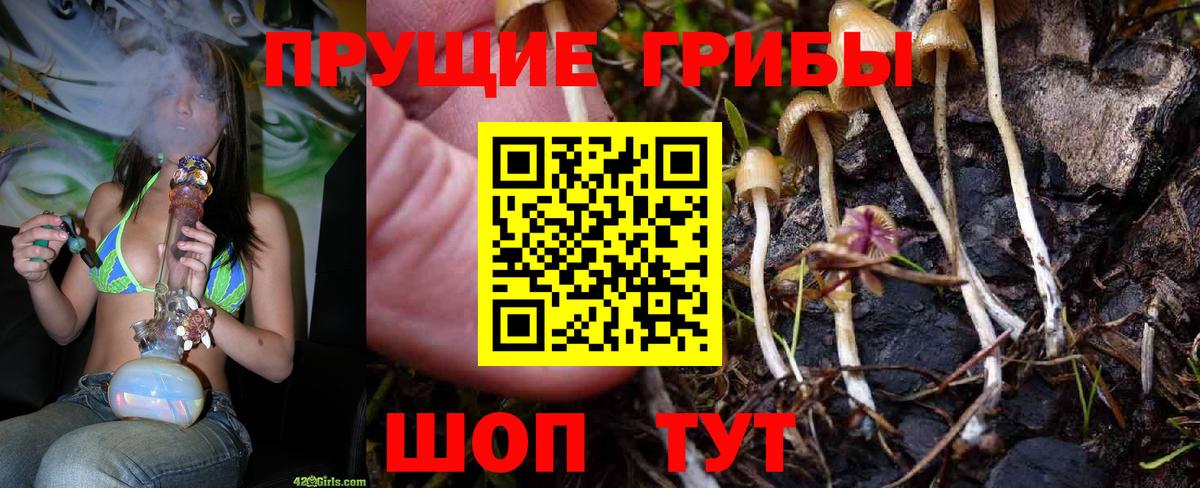 Галлюциногенные грибы GOLDEN TEACHER  Вход с VPN  Пугачёв 